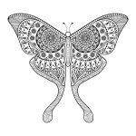 Mandala de mariposa