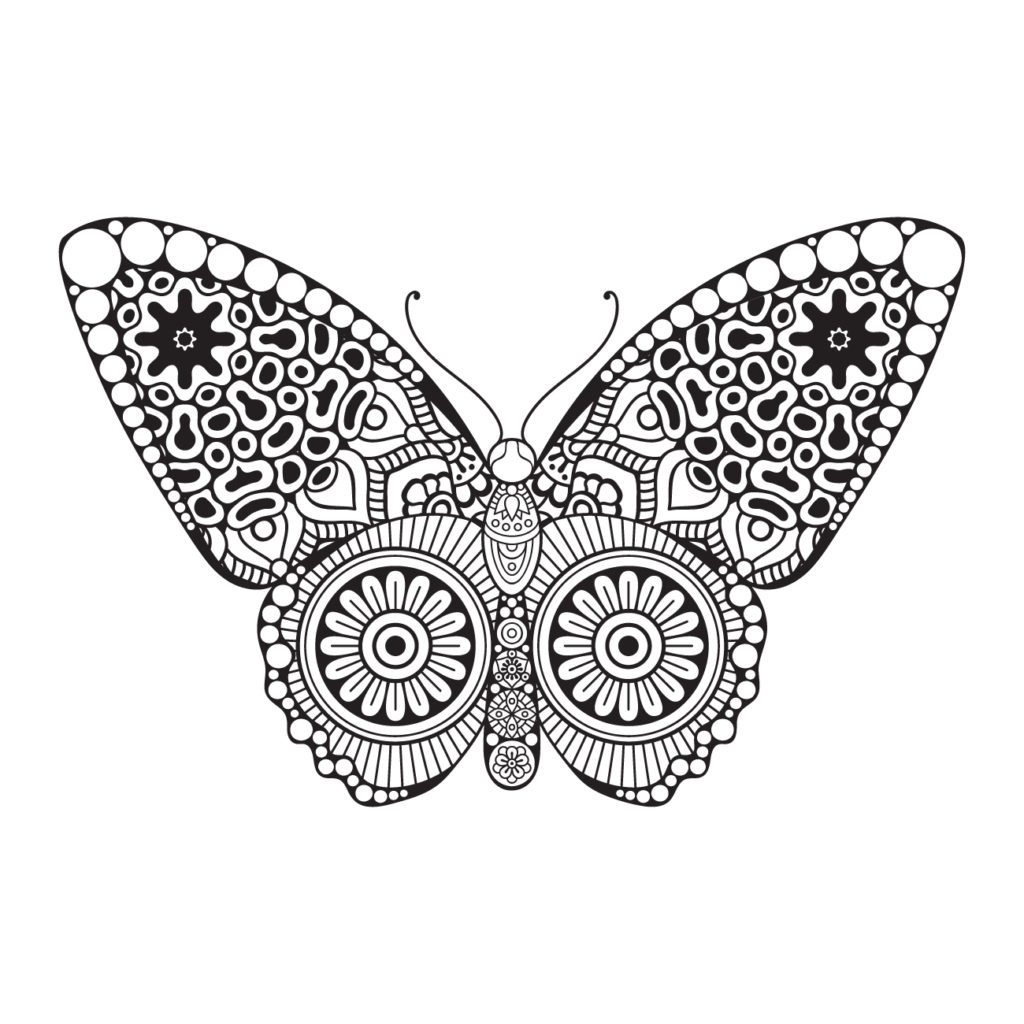 mandala mariposa